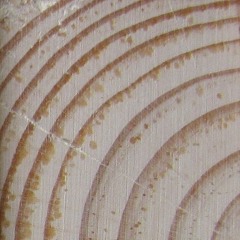 Drewno wizu grskiego